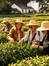 8-Day Enchanting Beauty of Jiangnan---Shanghai - Hangzhou - Wuzhen - Wangxian Valley Tour