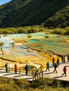 8-Day Sichuan Discovery Tour---Chengdu - Leshan - Emeishan - Huanglong - Jiuzhai Valley Tour