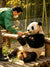13-Day China Adventure Journey---Beijing - Xi'an - Chengdu - Guilin - Yangshuo - Shanghai Tour