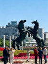 8-Day Wonders of Wild Inner Mongolia---Hohhot - Ulanqab - Ordos - Baotou Tour