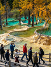 8-Day Chengdu Jiuzhai Valley and Chongqing Tour