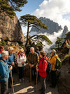 9-Day Water Town and Yellow Mountains---Shanghai - Suzhou - Hangzhou -Huangshan - Shanghai Tour