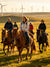 8-Day Wonders of Wild Inner Mongolia---Hohhot - Ulanqab - Ordos - Baotou Tour
