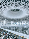 7-Day Greater Bay Discovery Tour---Hong Kong, Macau, Guangzhou, Shenzhen Tour