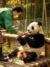 8-Day Chengdu Jiuzhai Valley and Chongqing Tour