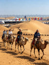8-Day Wonders of Wild Inner Mongolia---Hohhot - Ulanqab - Ordos - Baotou Tour