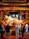 8-Day Enchanting Beauty of Jiangnan---Shanghai - Hangzhou - Wuzhen - Wangxian Valley Tour